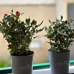Casadea Апартаменты Кремона
