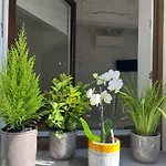 Casadea 克雷莫纳