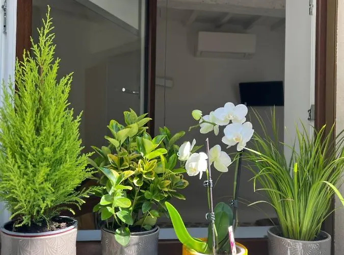 Casadea Cremona